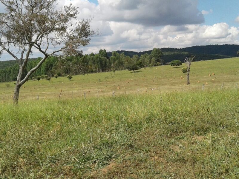 Terreno em Bonfim MG - Oportunidade