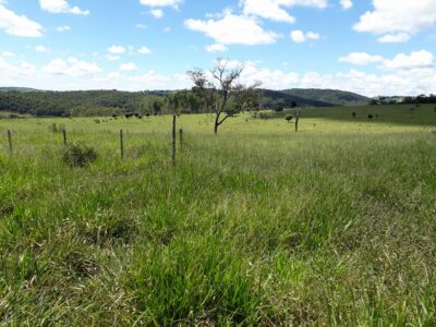 Terreno em Bonfim MG - Oportunidade